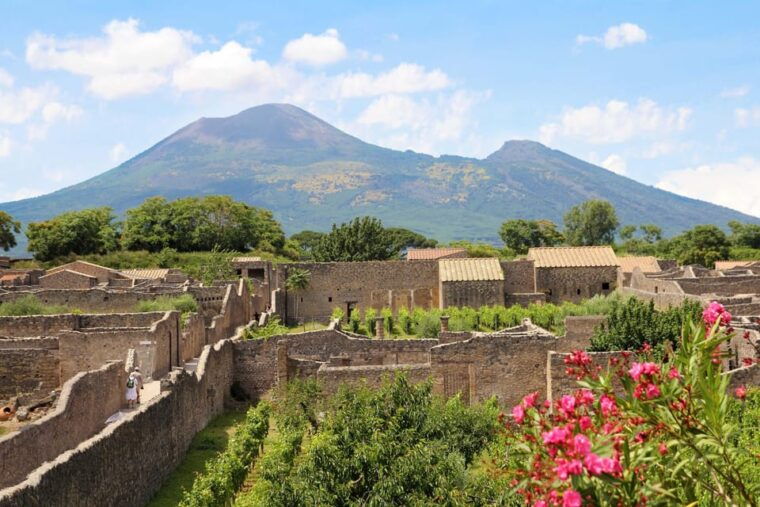 From Salerno_Pompeii Express_Bus+ Skip the Line Ticket - Tour Highlights