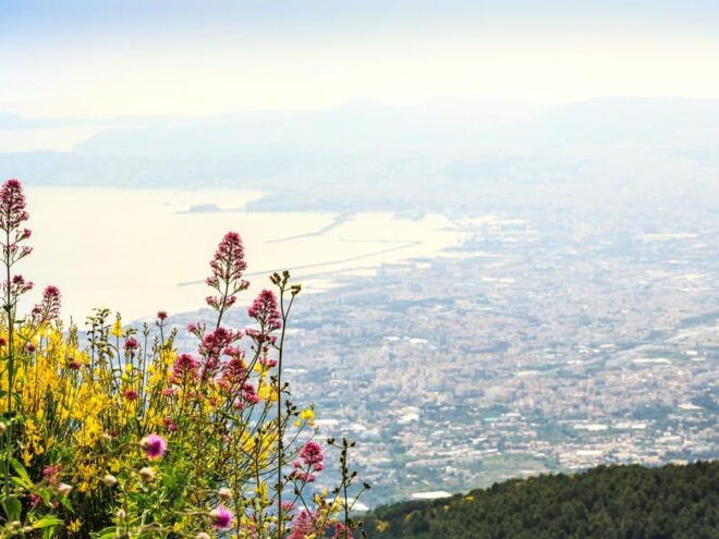 From Salerno_Pompeii&Vesuvius - Experience Highlights