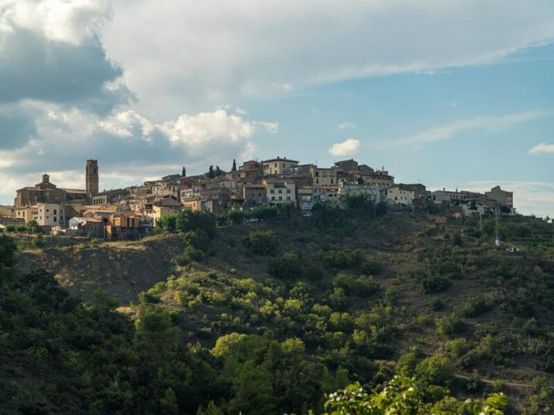 From Salou: 4x4 Route From Cornudella to Falset and Gratallops - Itinerary and Highlights