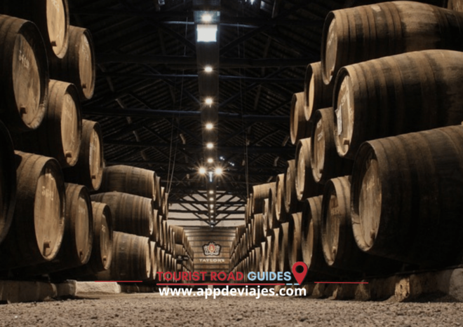 From Salou: Cartuja Scaladei, Lunch & Wines - Logistics and Accessibility