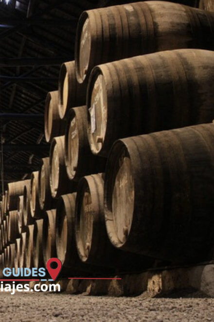 From Salou: Cartuja Scaladei, Lunch & Wines - Discovering Scala Dei Winery