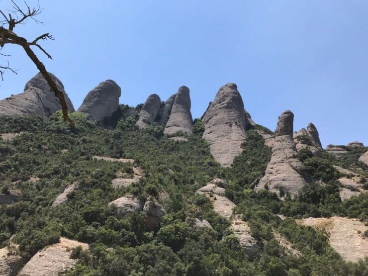 From Salou: Montserrat Monastery and Colonia Güell - Reviews