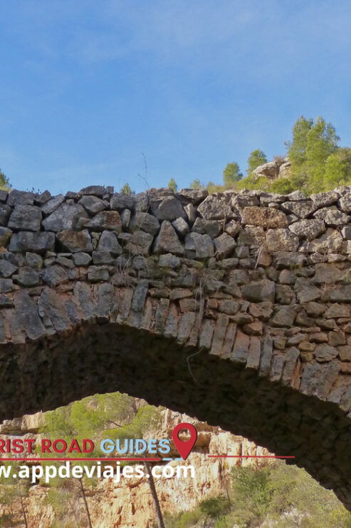 From Salou: Olive Trees & Priorat Wines Tour - Booking Information