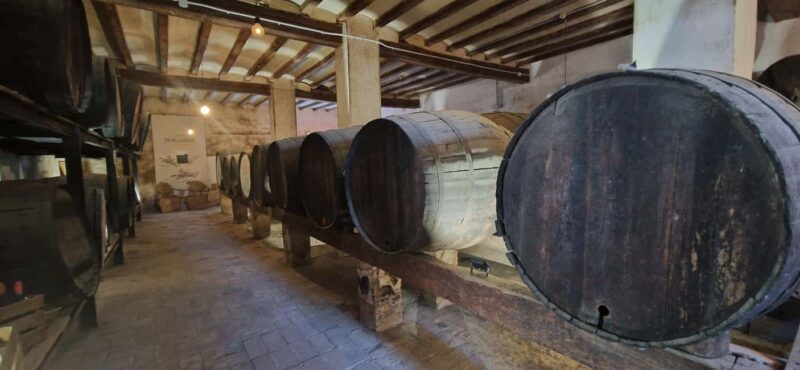 From Salou: Park Samá with 1 vermouth tasting, hotel Pickup - The Vermouth Tasting: A Spanish Touch