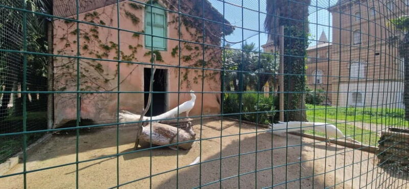 From Salou: Park Samá with 1 vermouth tasting, hotel Pickup - FAQs