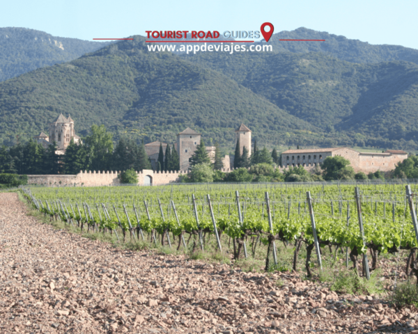 From Salou: Poblet Monastery & Sitges Tour With Wine Tasting - Inclusions and Booking