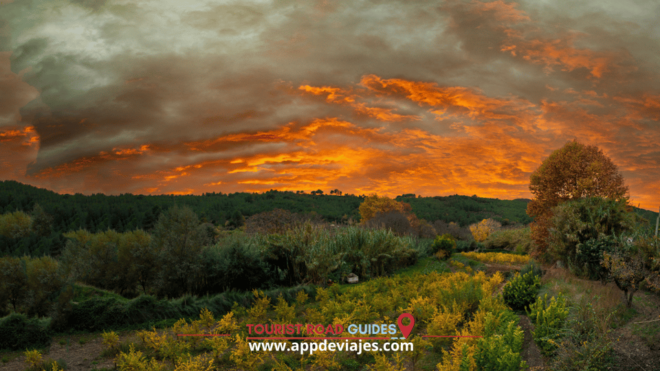 From Salou: Poblet Monastery, Siurana, and Olive Oil Tour - Olive Oil Production and Tasting