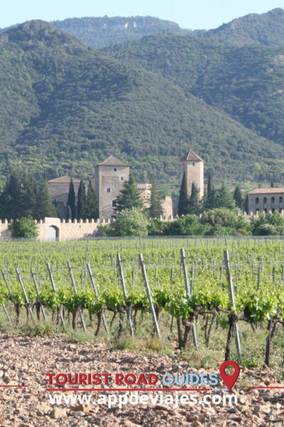 From Salou: Poblet Monastery, Siurana, and Olive Oil Tour - Tour Suitability