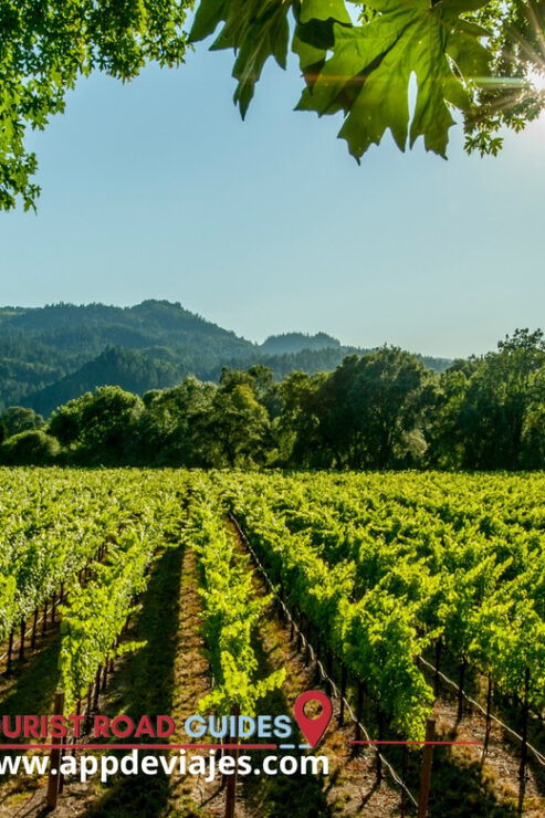 From Salou: Priorat Wine Tour Private & Tastings and Lunch - Pickup Locations