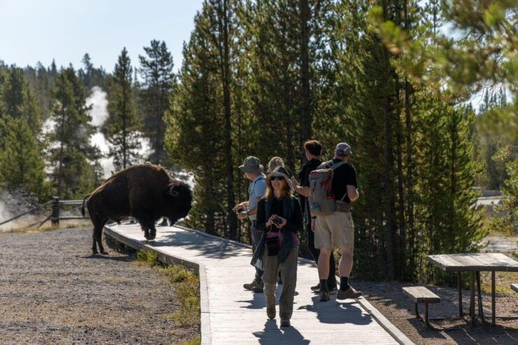 From Salt Lake City: 3-Day Yellowstone Wildlife Adventure - Experience Highlights