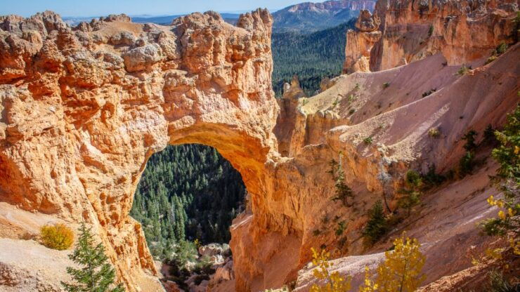 From Salt Lake City: Private Bryce Canyon National Park Tour - Experience Highlights