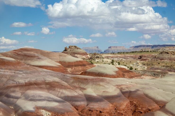 From Salt Lake City: Private Capitol Reef National Park Tour - Experience Highlights