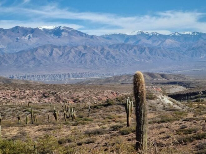From Salta: 2-Day Guided Trip to Cafayate and Cachi - Logistics and Accommodations Information