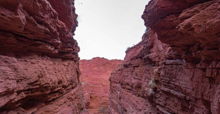 From Salta: 2 Day Guided Trip to Cafayate & Salinas Grandes - Booking Details