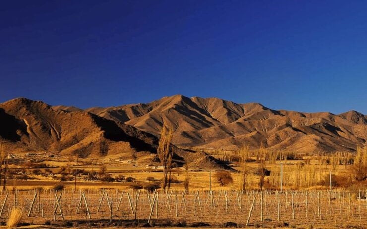 From Salta: Cachi and Los Cardones National Park Tour - Scenic Landscape Highlights