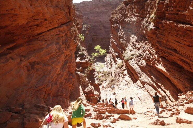 From Salta: Cafayate and Hornocal 2-Day Tour With Transfer - Tour Highlights and Itinerary