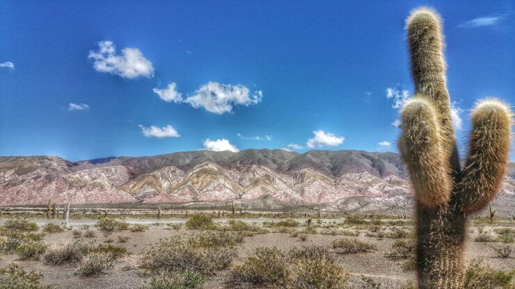 From Salta: Day Trip to Cachi and the Calchaquí Valleys - Experience Highlights