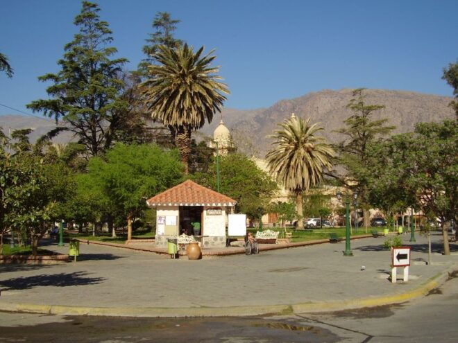 From Salta: Full-Day Tour to Cafayate With Wine Tasting - Experience Lerma Valleys Charm