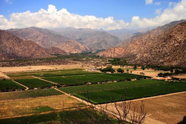 From Salta: Full-Day Wine and Valley Tour to Cafayate - Good To Know