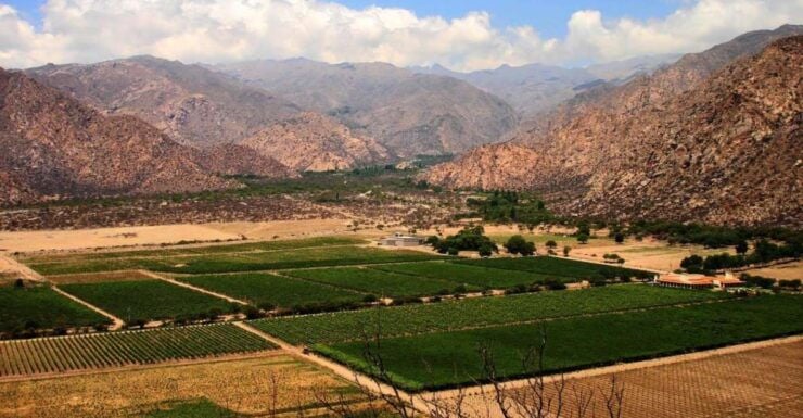 From Salta: Full-Day Wine and Valley Tour to Cafayate - Experience Highlights in Cafayate