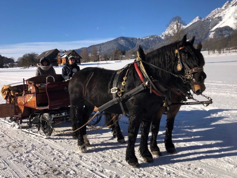 From Salzburg: 8 hour Horse-Drawn incl. 2-hour Carriage Ride - Good To Know  