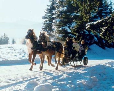 From Salzburg: 8 hour Horse-Drawn incl. 2-hour Carriage Ride - Exploring the Itinerary: A Day in the Mountain Wonderland