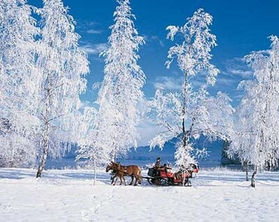 From Salzburg: 8 hour Horse-Drawn incl. 2-hour Carriage Ride - Practical Tips for the Tour  