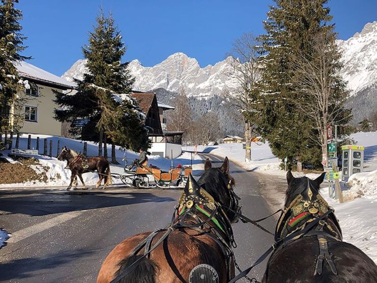 From Salzburg: 8-Hour Tour With Horse-Drawn Sleigh Ride - Duration and Language Options