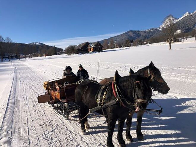 From Salzburg: 8-Hour Tour With Horse-Drawn Sleigh Ride - Breathtaking Alpine Scenery of Dachstein Glacier