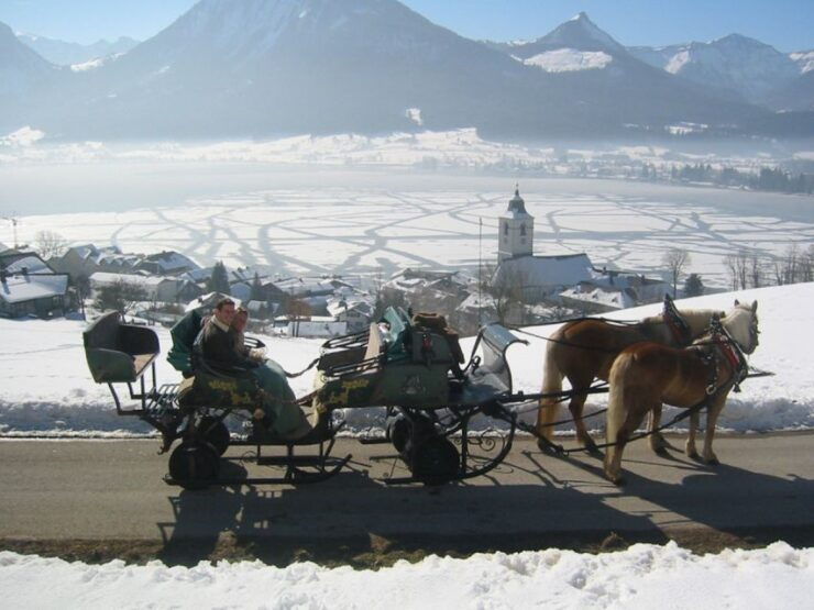 From Salzburg: Romantic Sleigh Ride Through the Countryside - Language Options and Private Group Option