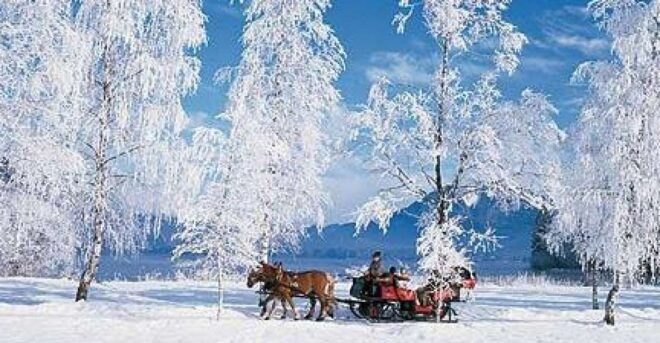 From Salzburg: Romantic Sleigh Ride Through the Countryside - Experiencing the Austrian Countryside