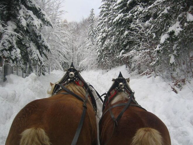 From Salzburg: Romantic Sleigh Ride Through the Countryside - Exploring St Wolfgang and Lake Wolfgang