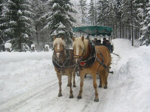From Salzburg: Romantic Sleigh Ride Through the Countryside - Additional Details and Spectacular Views