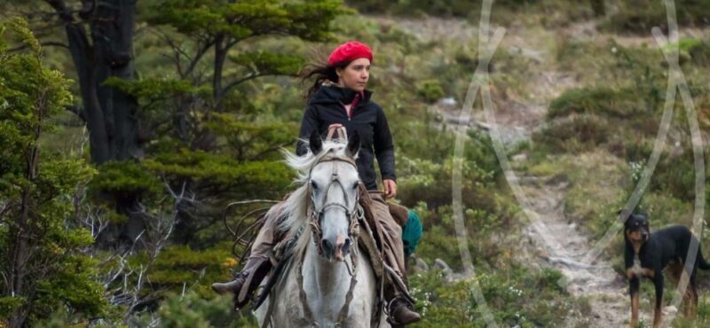From Samaná: El Limón Waterfall Horseback Ride with Lunch - Good To Know
