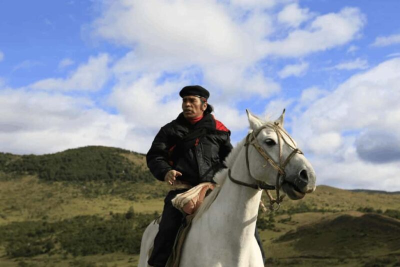 From Samaná: El Limón Waterfall Horseback Ride with Lunch - Why This Tour Is a Great Choice