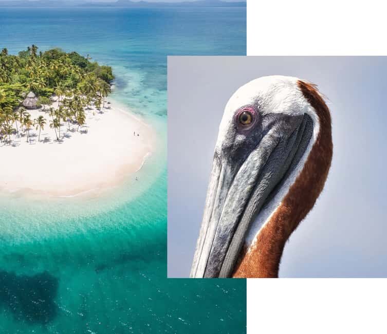 From Samana: Los Haitises Boat and Walking Tour with Lunch - Authentic Experiences from Travelers