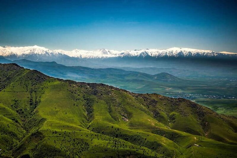 From Samarkand: Shahrisabz Private Day Tour - Good To Know