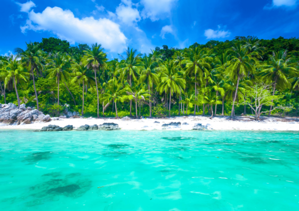 From Samui: Angthong National Park Snorkeling & Kayaking - Included Services