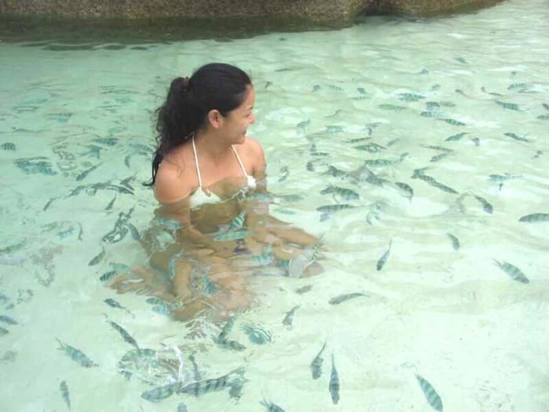 From Samui: Ko Tao and Koh Nang Yuan Speedboat Day Trip - Koh Nang Yuan: Paradise on Earth