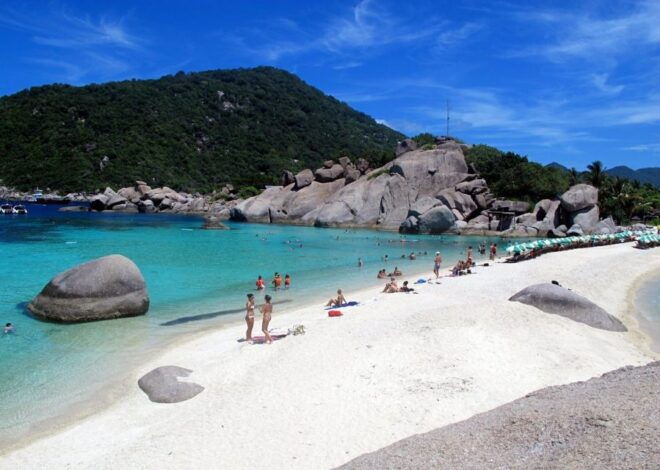 From Samui: Ko Tao and Koh Nang Yuan Speedboat Day Trip - Customer Reviews