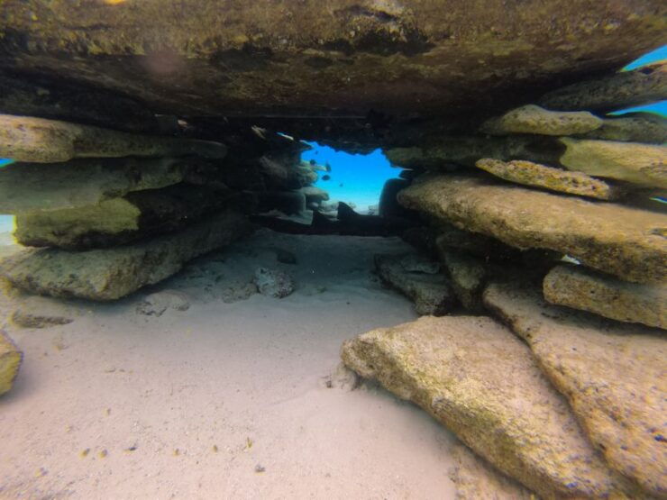 From San Andres: Cayo Acuario Tour - Booking Details