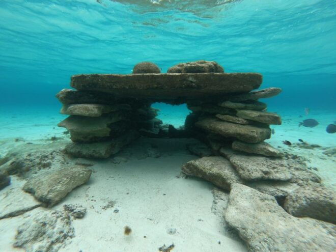 From San Andres: Cayo Acuario Tour - Feedback and Ratings