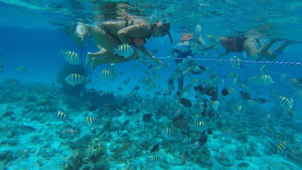 From San Andrés: Full-Day San Andrés Bay Snorkeling Cruise - Frequently Asked Questions