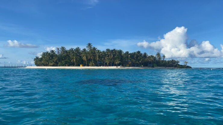 From San Andrés: Speedboat Tour to Johnny Cay Island - Good To Know