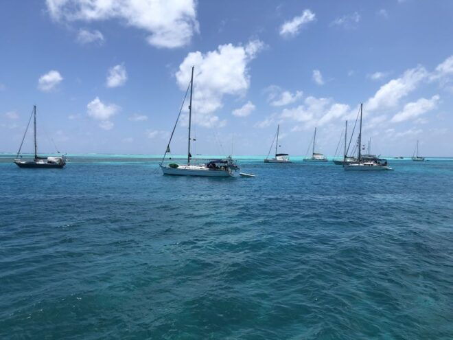 From San Andrés: Speedboat Tour to Johnny Cay Island - Reviews