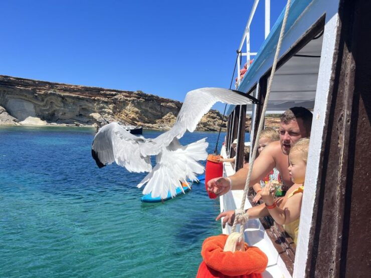 From San Antonio : Family Boat Cruise With Lunch - Activity Information