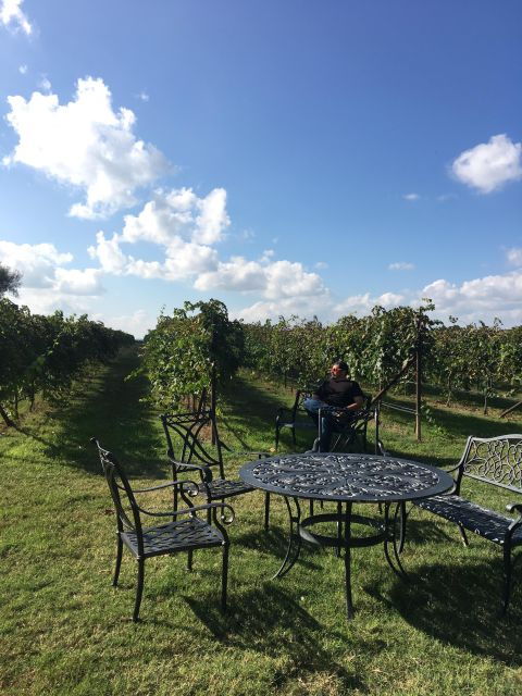 From San Antonio: Hill Country Wine Tour to Fredericksburg - General Information About the Tour