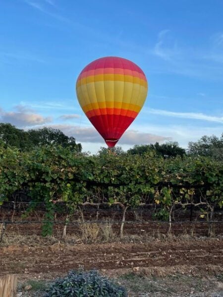 From San Antonio: Hill Country Wine Tour to Fredericksburg - The Sum Up
