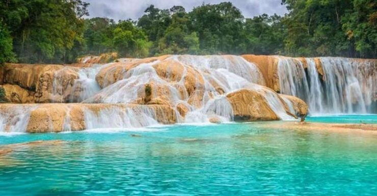 From San Cristobal: Agua Azul, Misol-ha, and Palenque - Highlighted Experiences and Itinerary