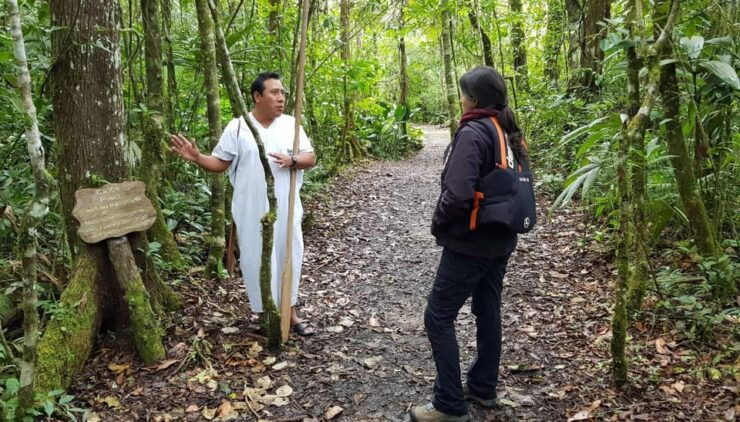 From San Cristóbal: Lacandona Jungle 3 Days Tour - Itinerary Highlights